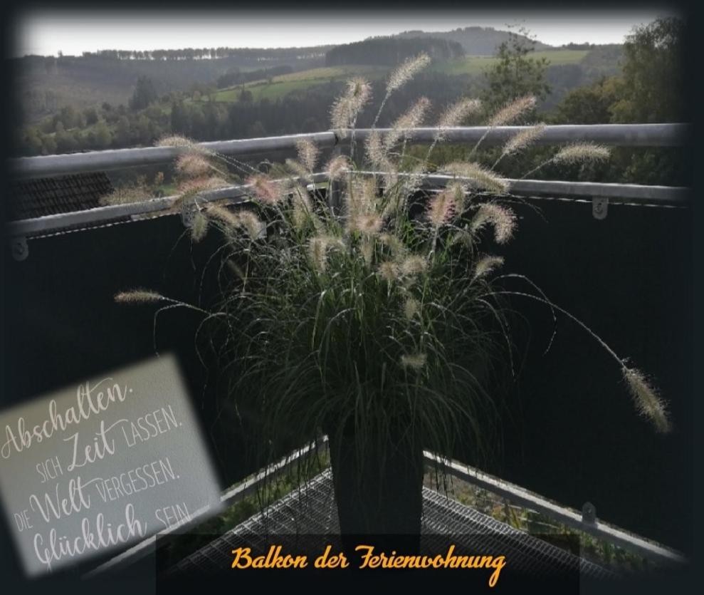 Waldglueck Familie Bruening Bad Berleburg Exterior foto